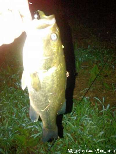 �֥�å��Х�