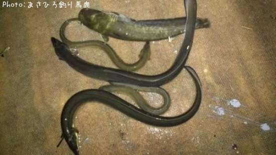 ���ʥ����ʥޥ�