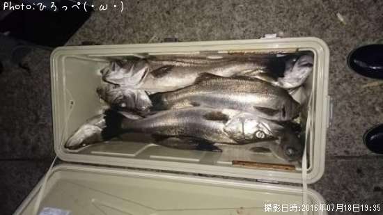 �����Х�