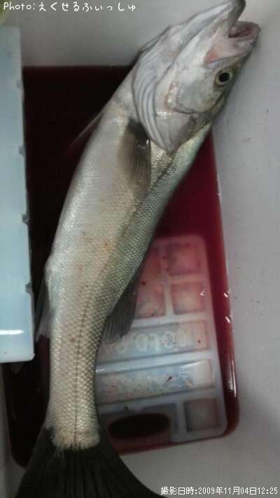 �����Х�