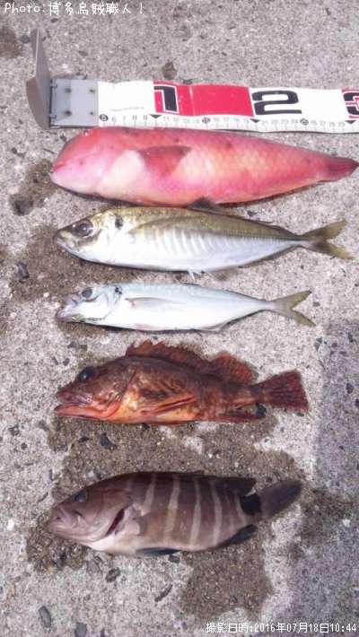 ���������������ޥϥ����ƥ�