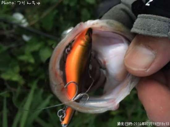 �����Х�