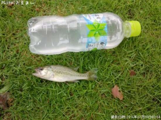 �֥�å��Х�