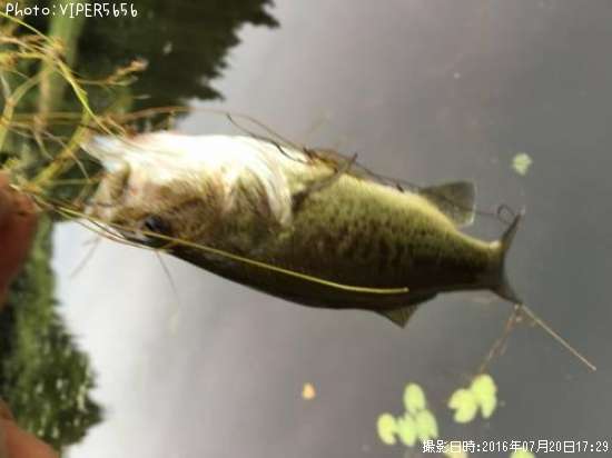 �֥�å��Х�