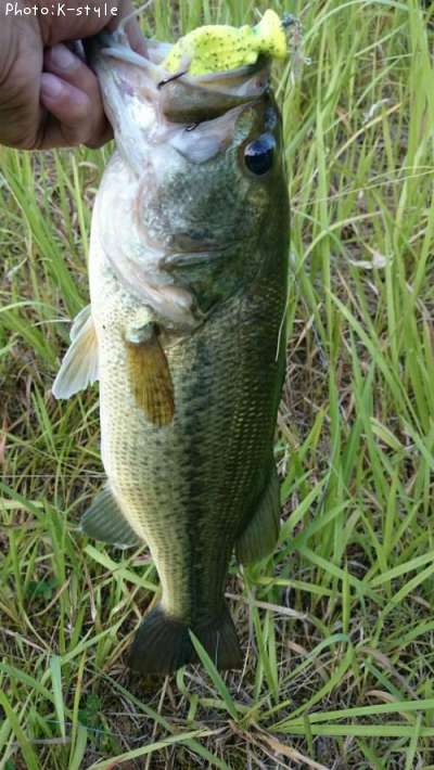 �֥�å��Х�