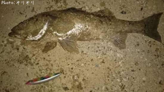 �����Х�