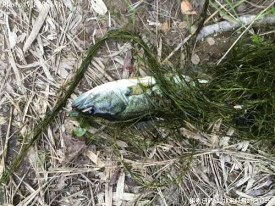 �֥�å��Х�