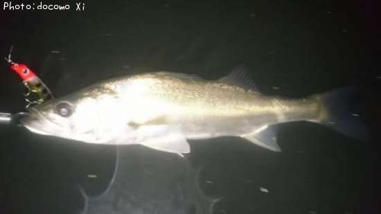 �����Х�