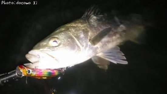 �����Х�