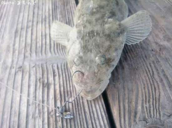 �����̥��̡ڥߥʥߥޥ�����