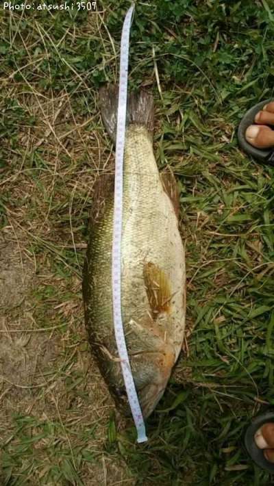 �֥�å��Х�