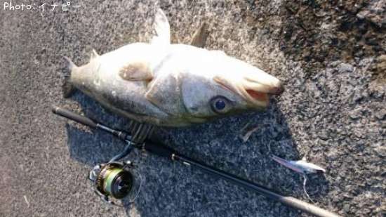 �����Х�