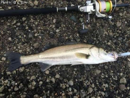 �����Х�