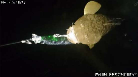�ޥ���