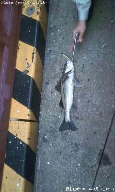 �����Х�