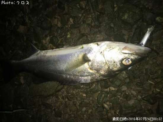 �����Х�