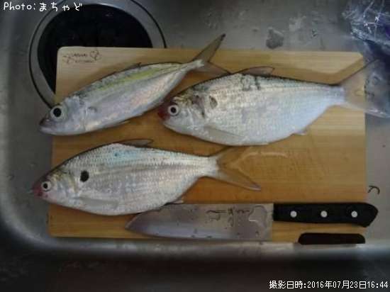 �������ڥᥢ����