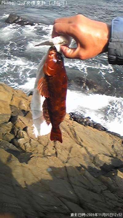 �����ʥ�