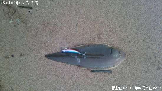 �����Υ���