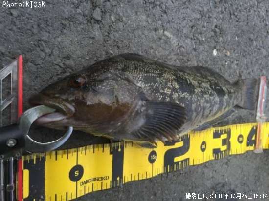 �����ʥ�