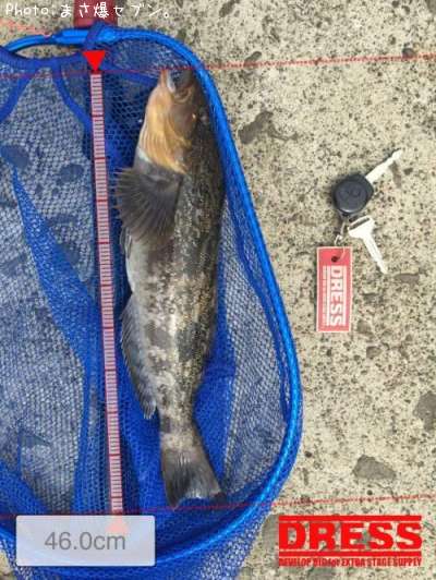 �����ʥ�