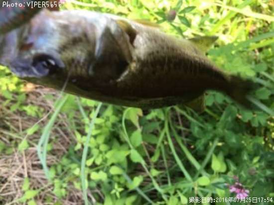 �֥�å��Х�