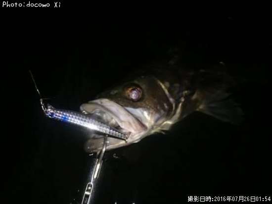 �����Х�