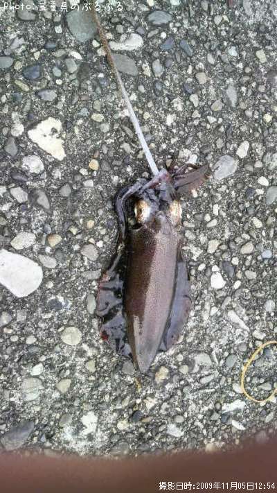 �����ꥤ��