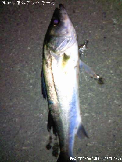 �����Х�