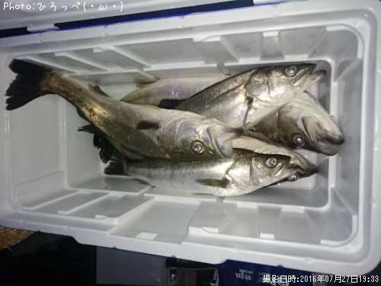 �����Х�