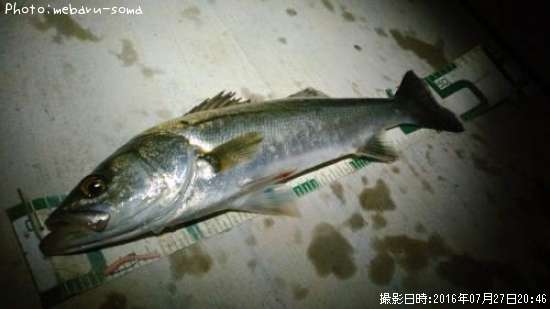 �����Х�