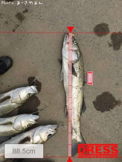 �����Х�