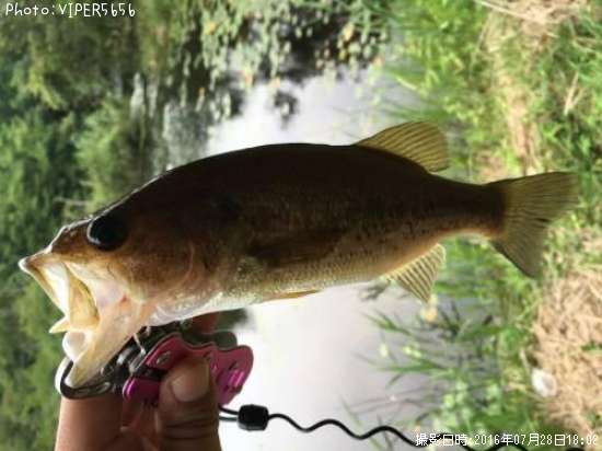 �֥�å��Х�