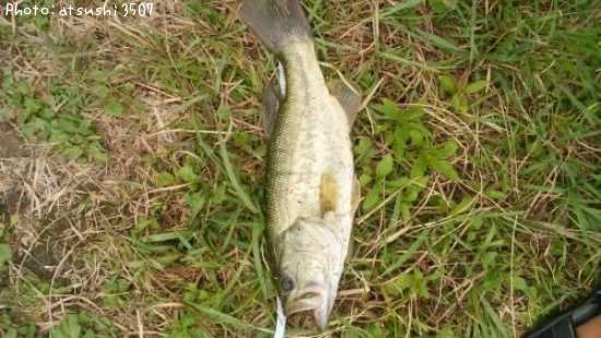 �֥�å��Х�