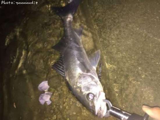 �����Х�