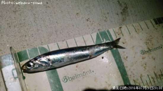 �����������亮