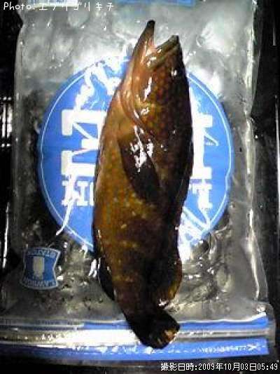 �����ʥ�