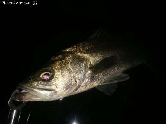 �����Х�