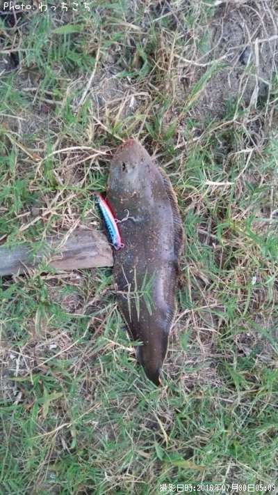 �����Υ���