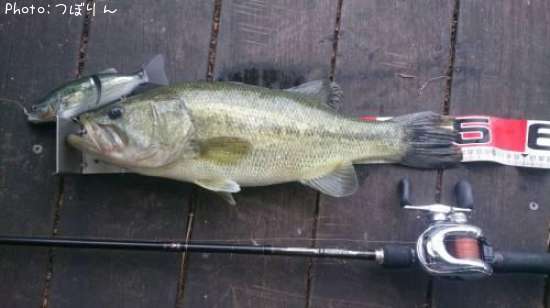 �֥�å��Х�