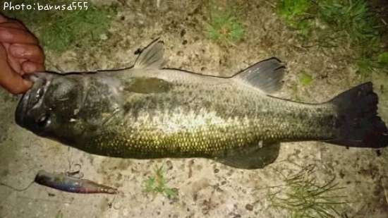 �֥�å��Х�