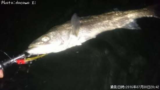 �����Х�