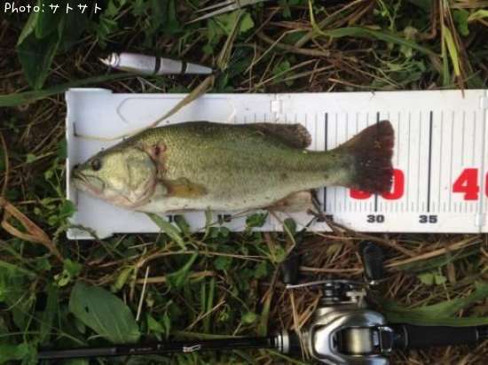 �֥�å��Х�