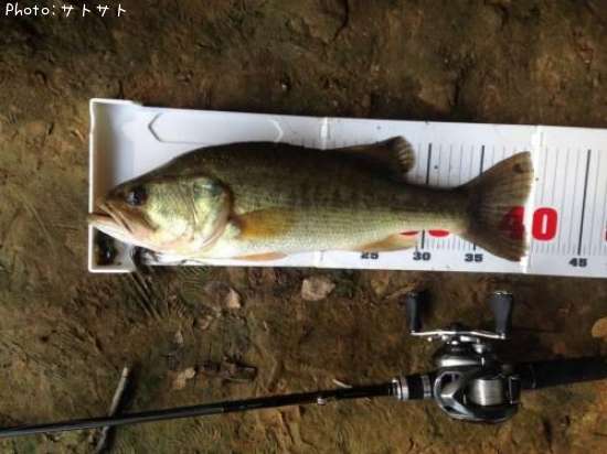 �֥�å��Х�