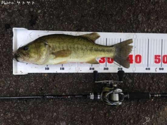 �֥�å��Х�