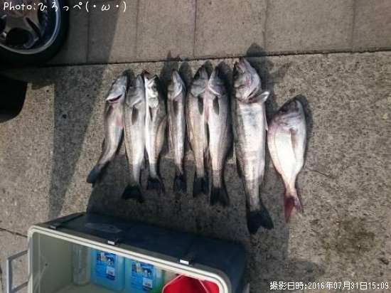 �����Х�