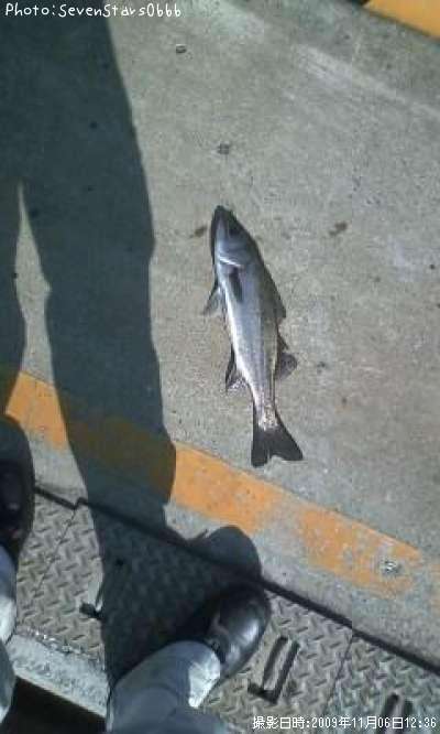 �����Х�