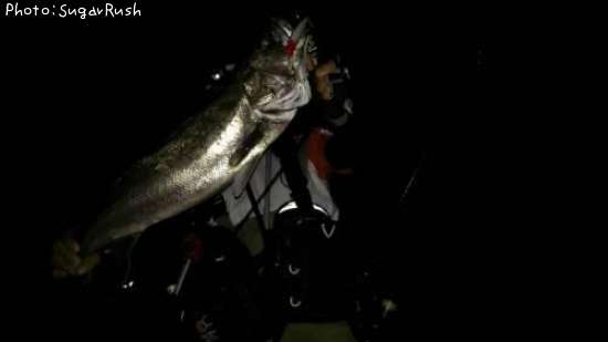 �����Х�