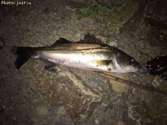 �����Х�