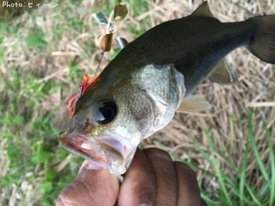 �֥�å��Х�